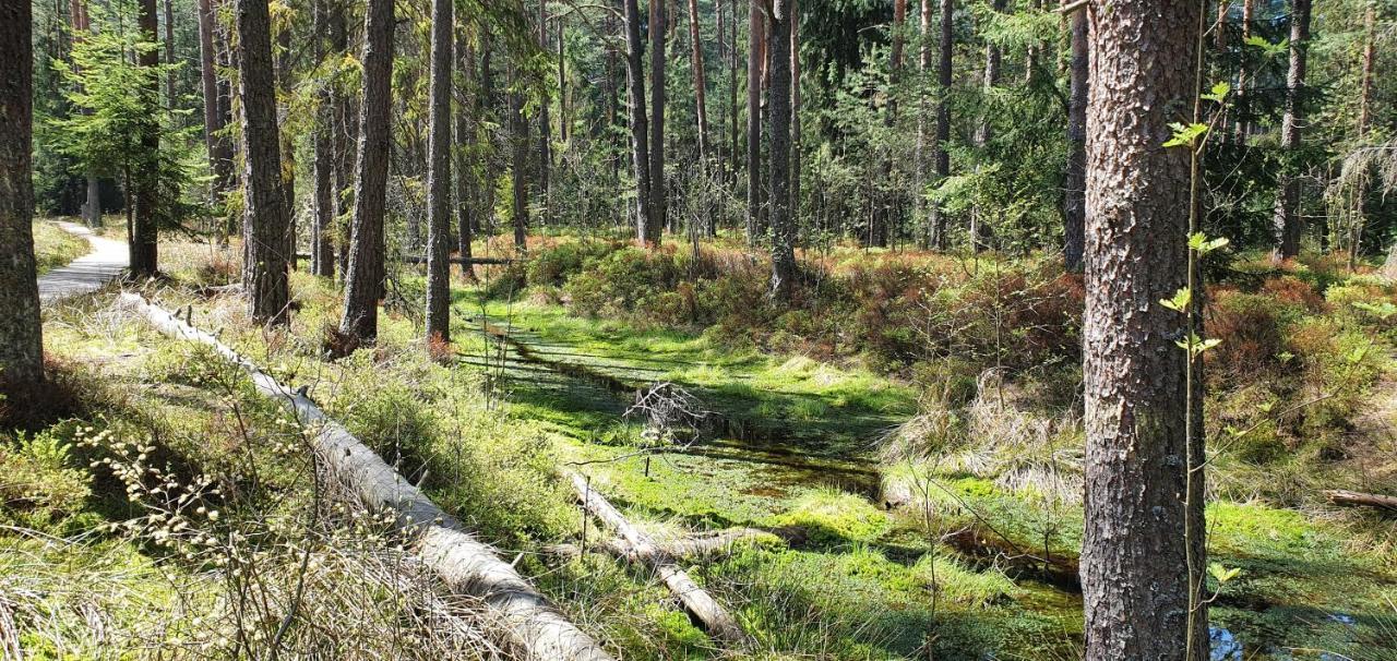Eco Domek Z Duzym Ogrodem I Widokiem มูชองค์ชิคแล ภายนอก รูปภาพ