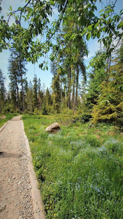 Eco Domek Z Duzym Ogrodem I Widokiem มูชองค์ชิคแล ภายนอก รูปภาพ